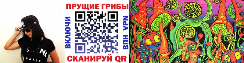 купить закладку  кракен онион  Псилоцибиновые грибы ЛСД  Видное 