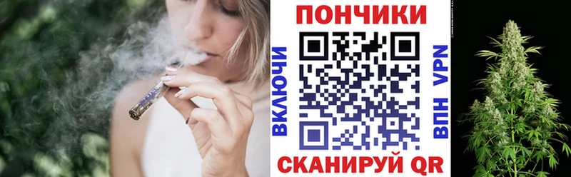 KRAKEN   Видное  Канабис сатива 